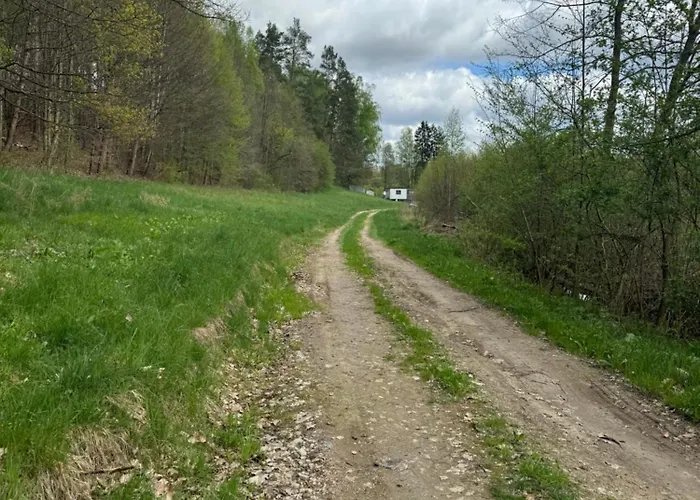 Samotnia Biesalska Holiday home *