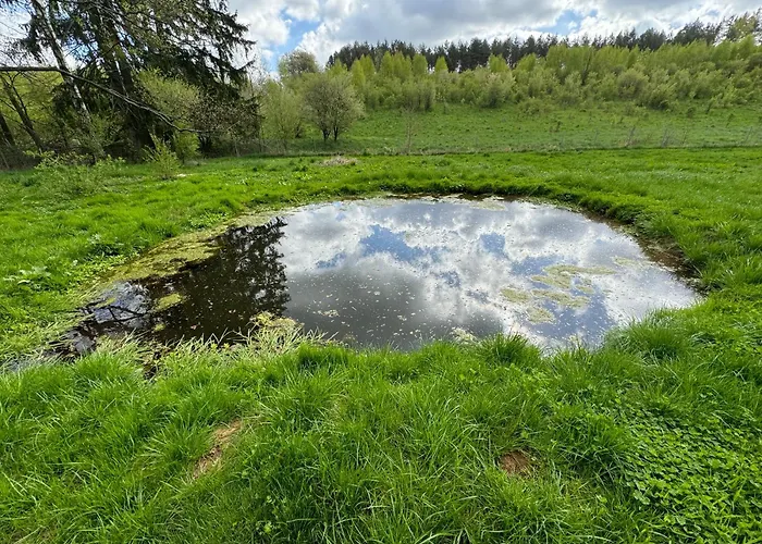 Samotnia Biesalska * Biesal