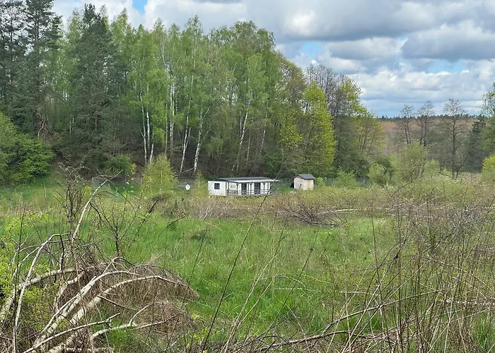 Samotnia Biesalska Holiday home *